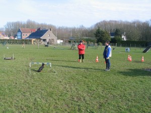 sized IMG 3793-1024x768