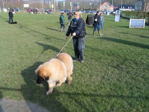 sized IMG 3797-1024x768