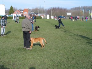 sized IMG 3798-1024x768