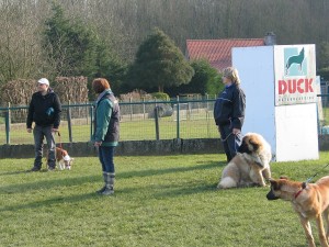 sized IMG 3800-1024x768