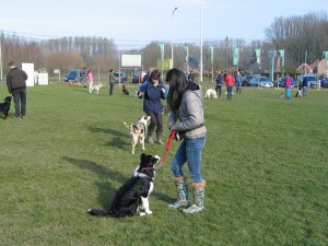 sized IMG 3802-1024x768