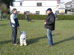 sized IMG 3803-1024x768