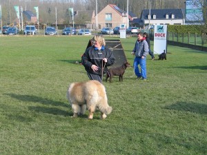 sized IMG 3804-1024x768