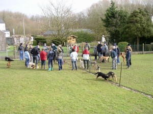 sized P3011359-1024x766