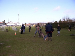 sized P3011363-1024x766