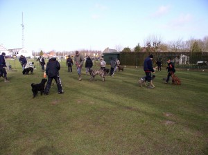 sized P3011365-1024x766