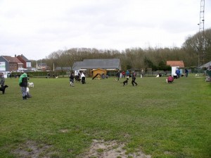 sized P3011369-1024x766