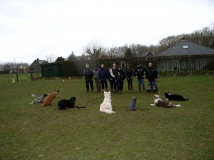 sized P3011372-1024x766